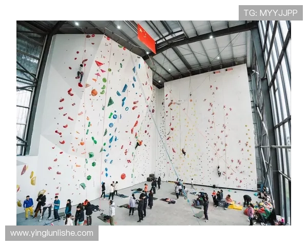 武汉攀岩队的整体压制与攀岩深度的关系探讨与分析